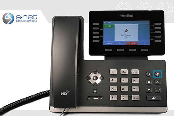 Manage Ongoing Calls Video