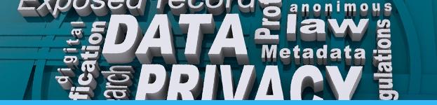 Data Privacy and Data Breach
