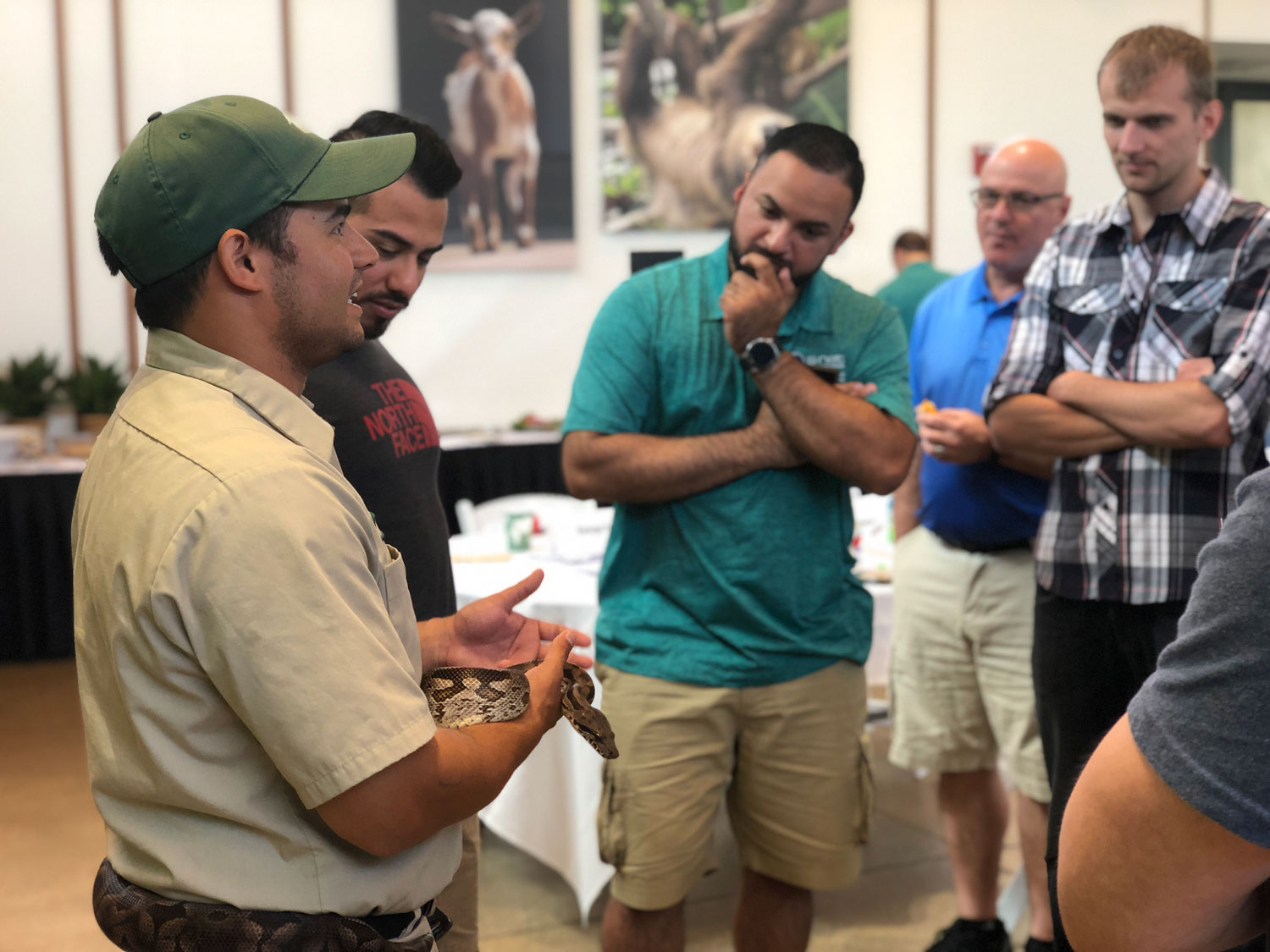 S-NET's Engineers and Project Managers getting acquainted with Daisy, the Ball Python.